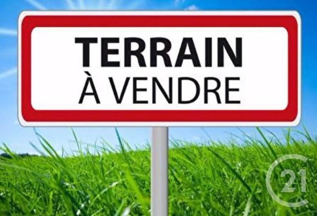 terrain - ST CYPRIEN - 66